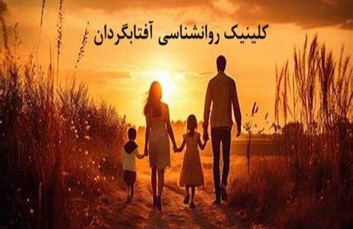 family therapy